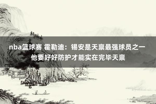 nba篮球赛 霍勒迪：锡安是天禀最强球员之一 他要好好防护才能实在完毕天禀