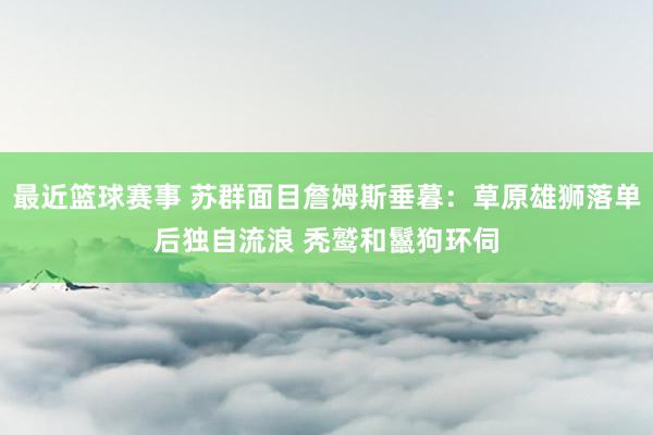 最近篮球赛事 苏群面目詹姆斯垂暮：草原雄狮落单后独自流浪 秃鹫和鬣狗环伺